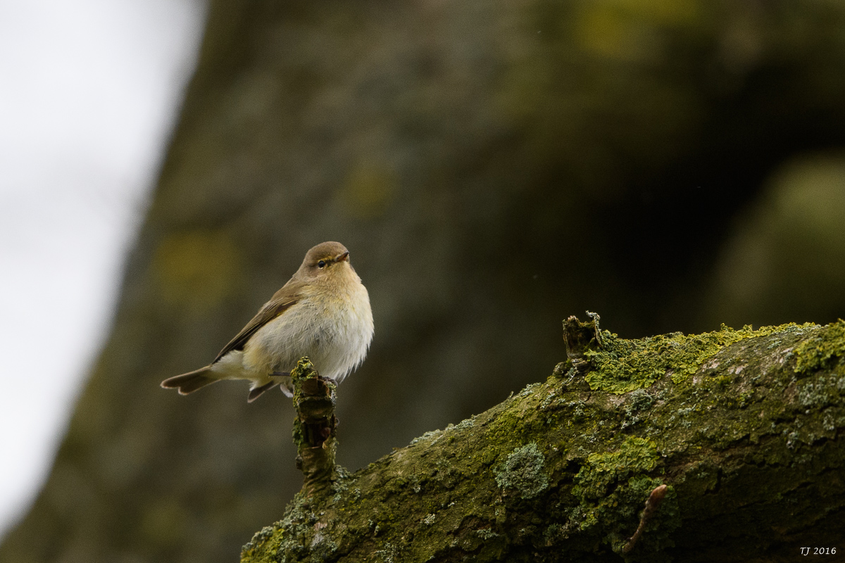DSC_1561.jpg