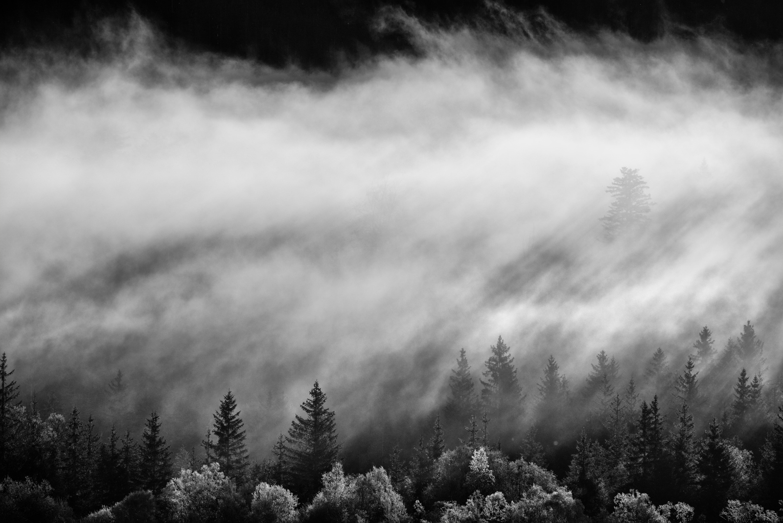 DSC_3437.jpg