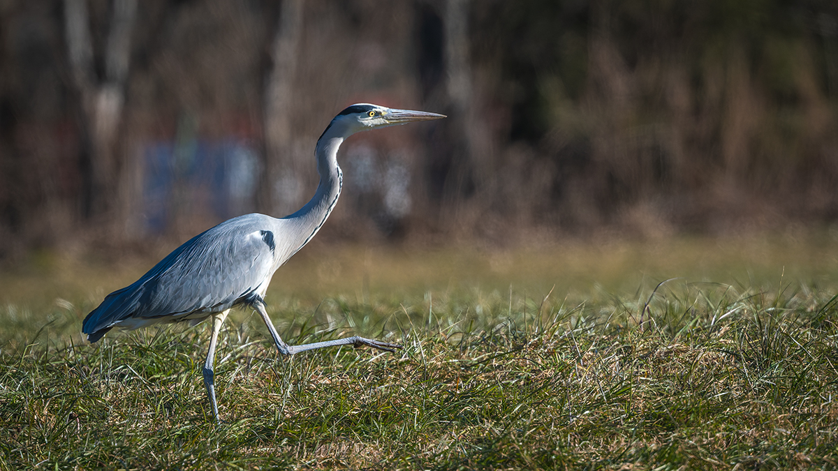 20220119_D500_1904_DxONF.jpg