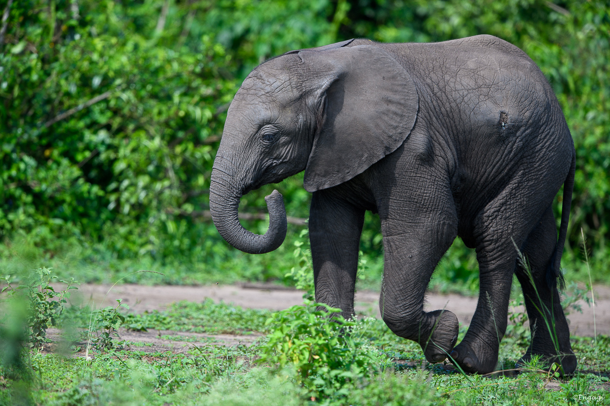Uganda%201516.jpg