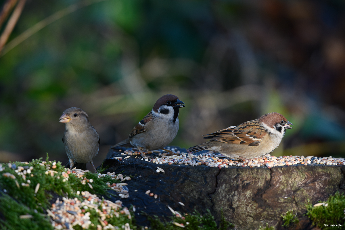 DSC_7861.jpg