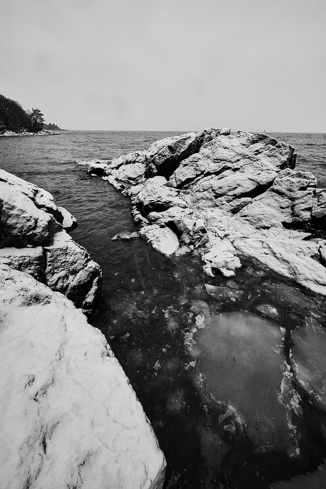 DSC_0578-X2.jpg