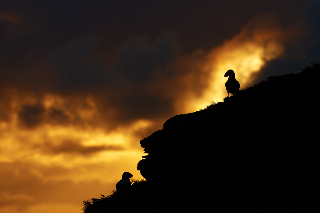 DSC_2691-XL.jpg