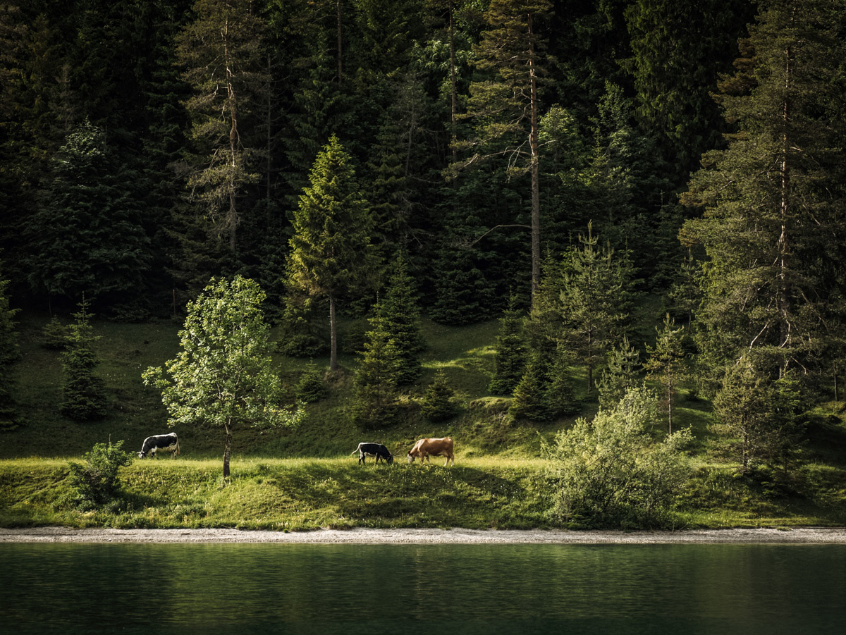 2-Alpen-2017-cs-Heiterwang-2a.jpg