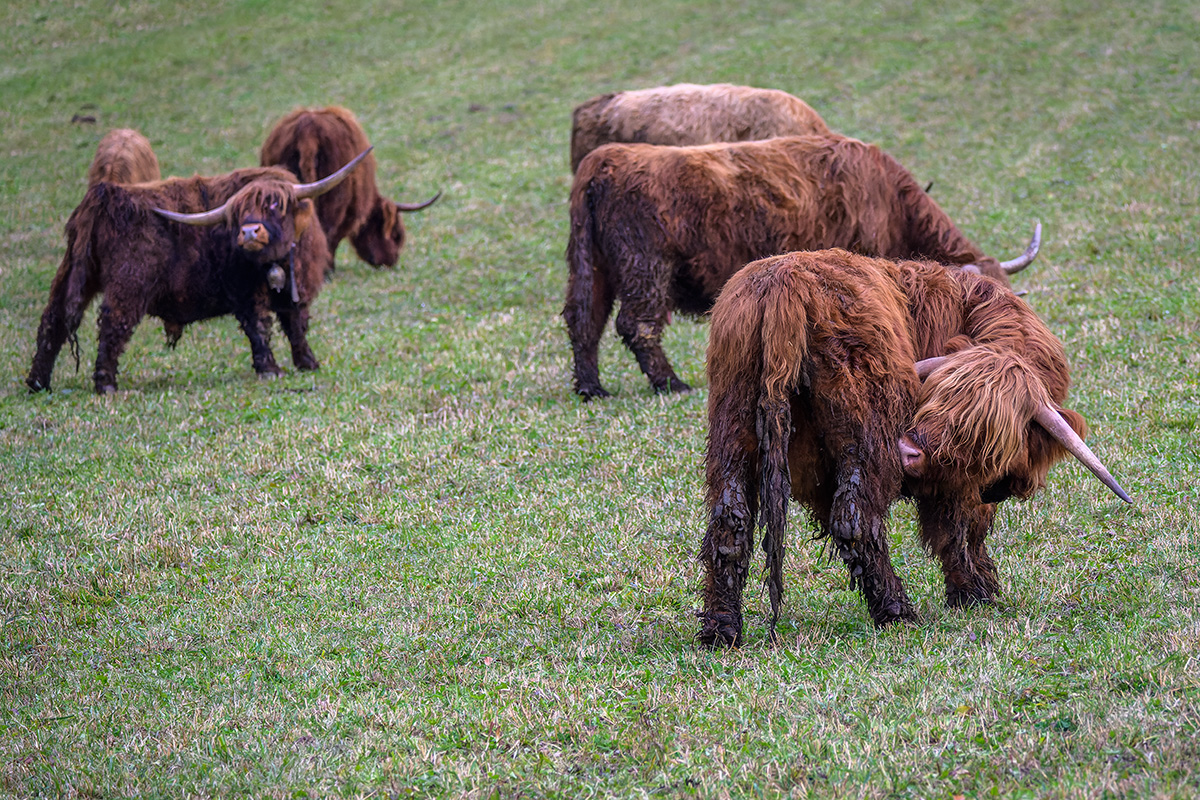 20211113_NZ7_0953_DxONF.jpg