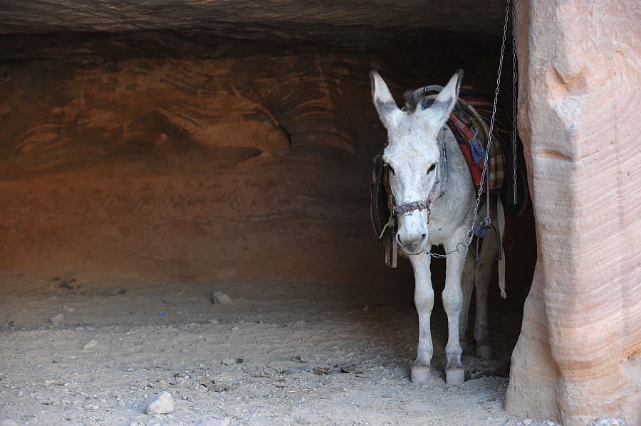 jordanien13_200.jpg