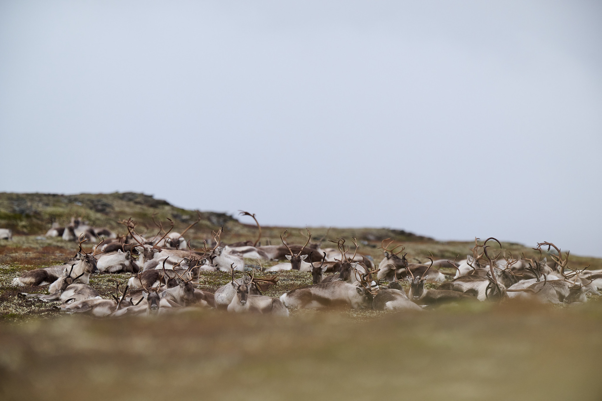 DSC_7288-X4.jpg
