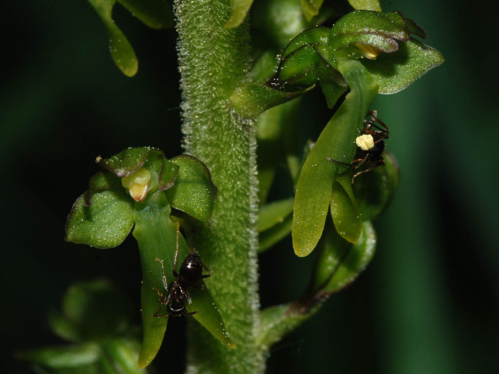 DSC_3008.jpg