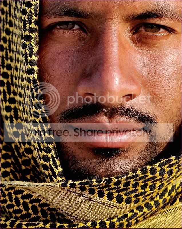 comp_Portrait.jpg