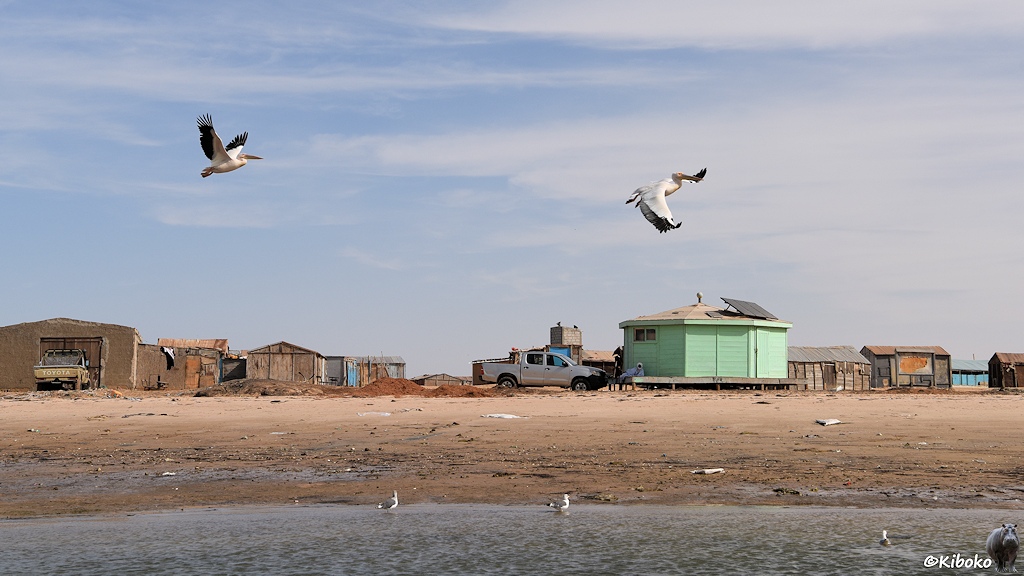 Das Bild zeigt einen Ort aus einfachen Holz- und Blechhütten. In der Mitte ist ein kleines, hellgrünes, achteckiges Gebäude mit Solarpanele auf dem Dach. Das ist die Moschee. Im Vordergrund ist der Strand mit drei Möwen. Zwei Pelikane fliegen im Vordergrund über die Häuser.