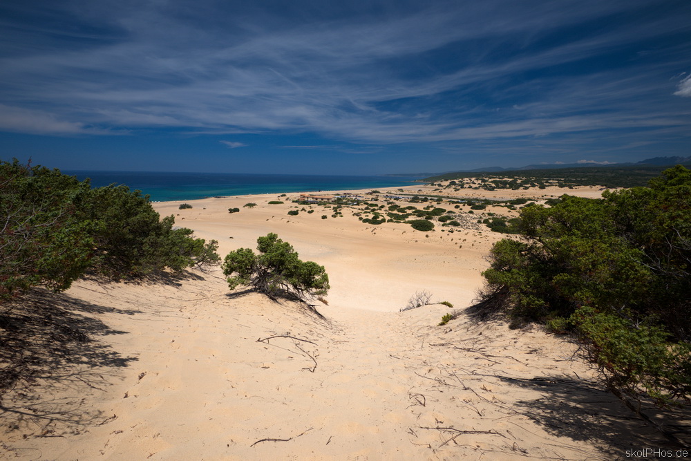 skotPHos.de_Sardinien2015_041.JPG