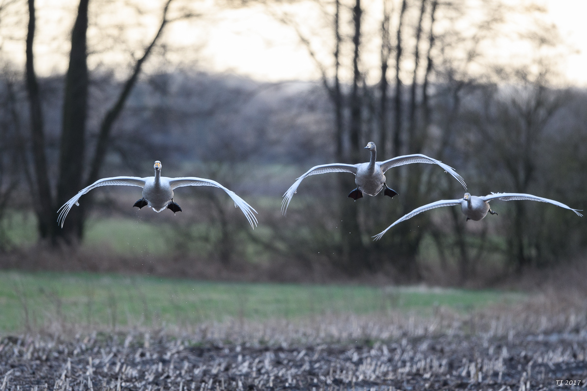 DSC_0325.jpg