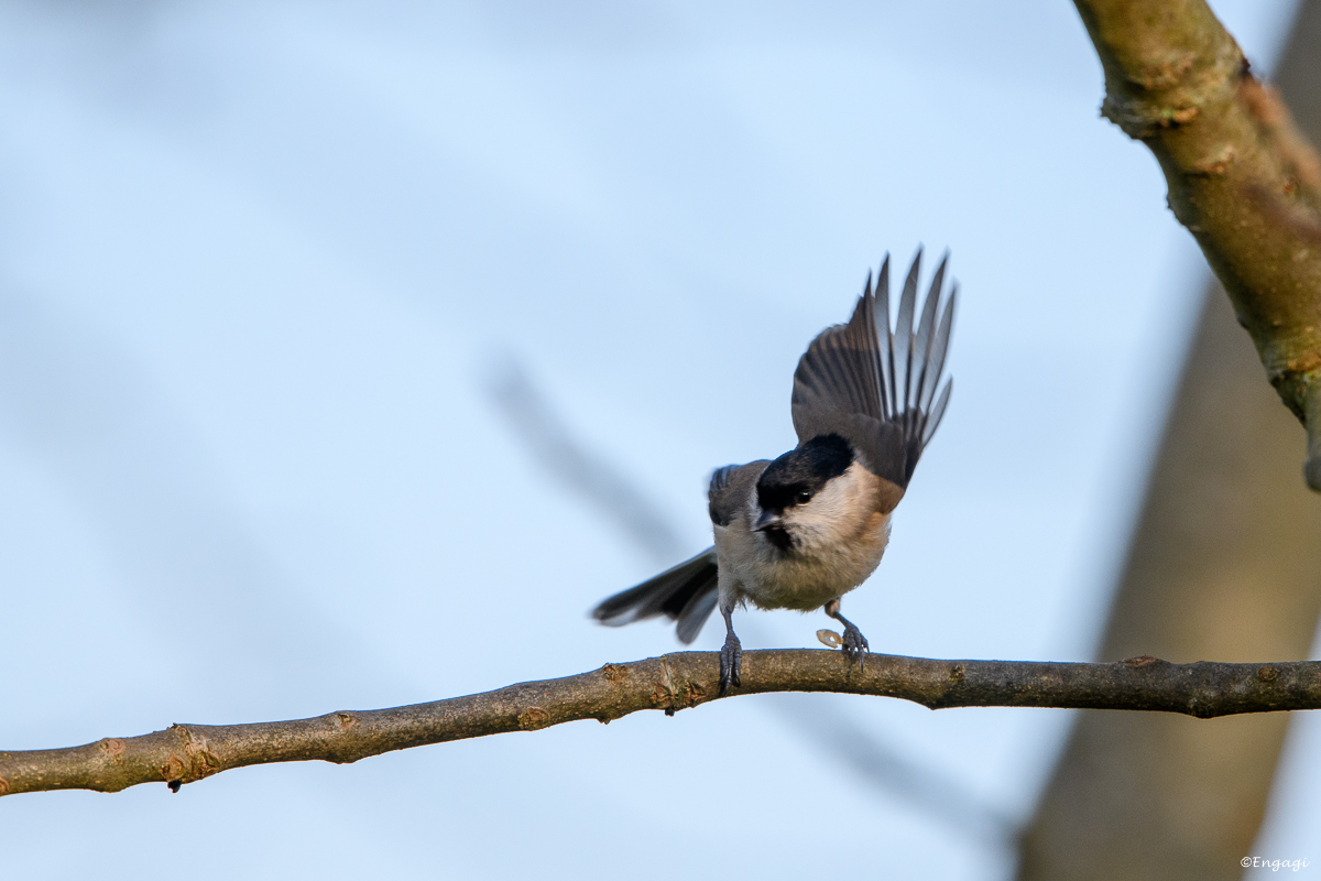 DSC_7852.jpg