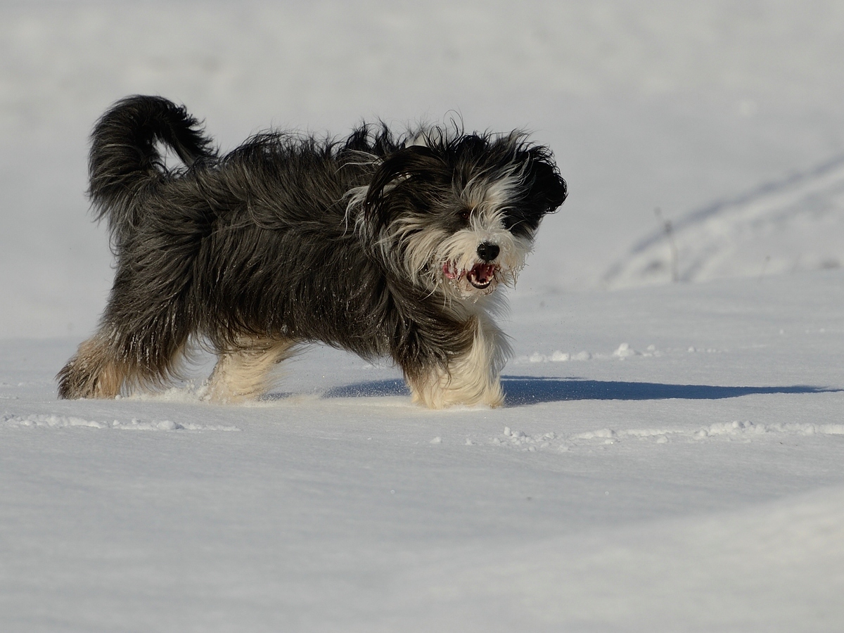 _DSC_2174.jpg
