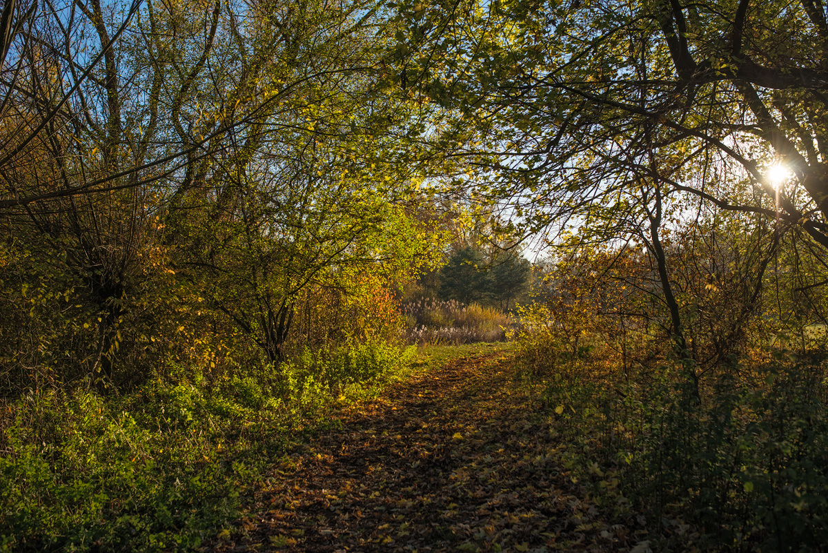 Marienberg021115.jpg