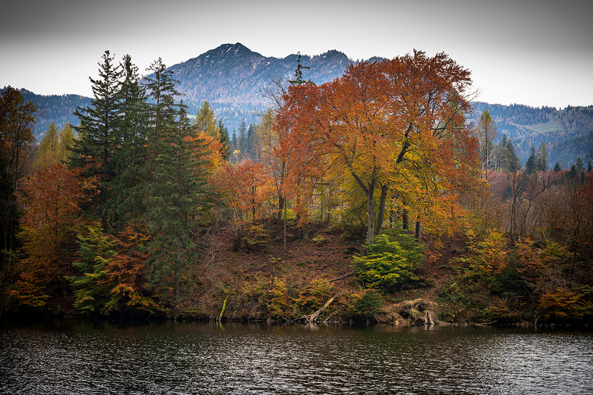 20201101_NZ7_0056NF.jpg