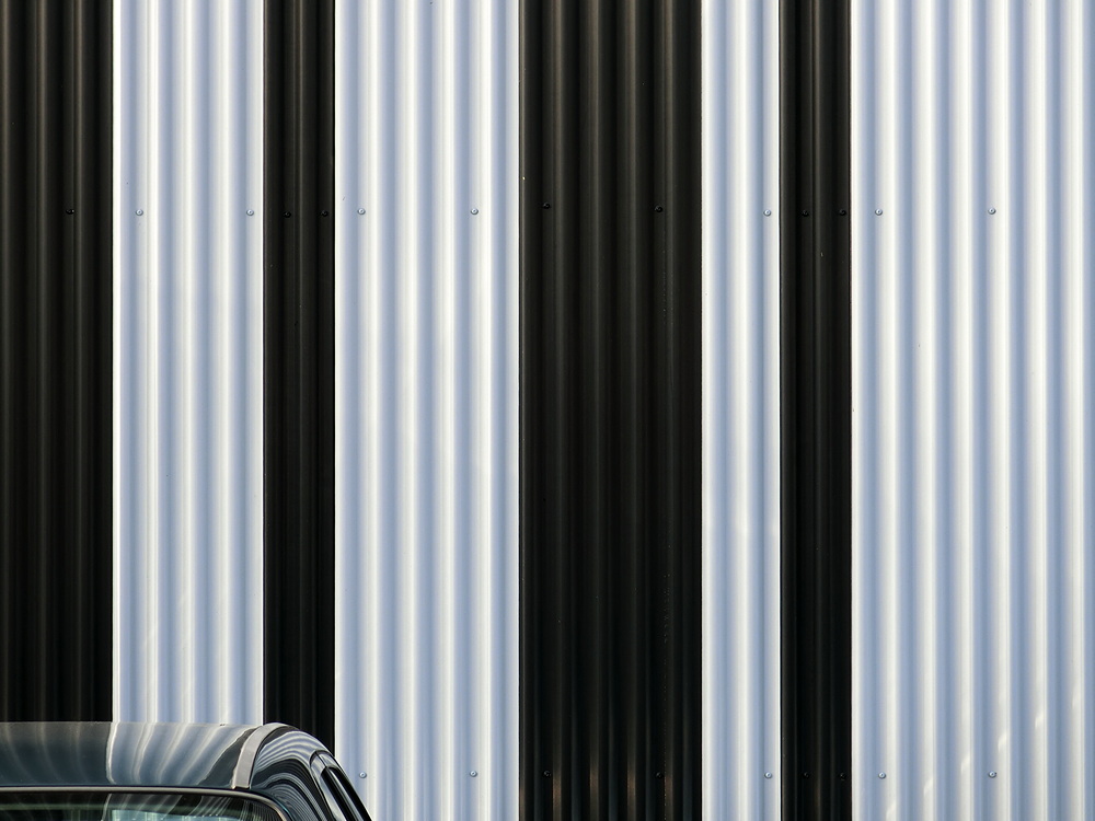 36652808136_716b77f91e_o.jpg