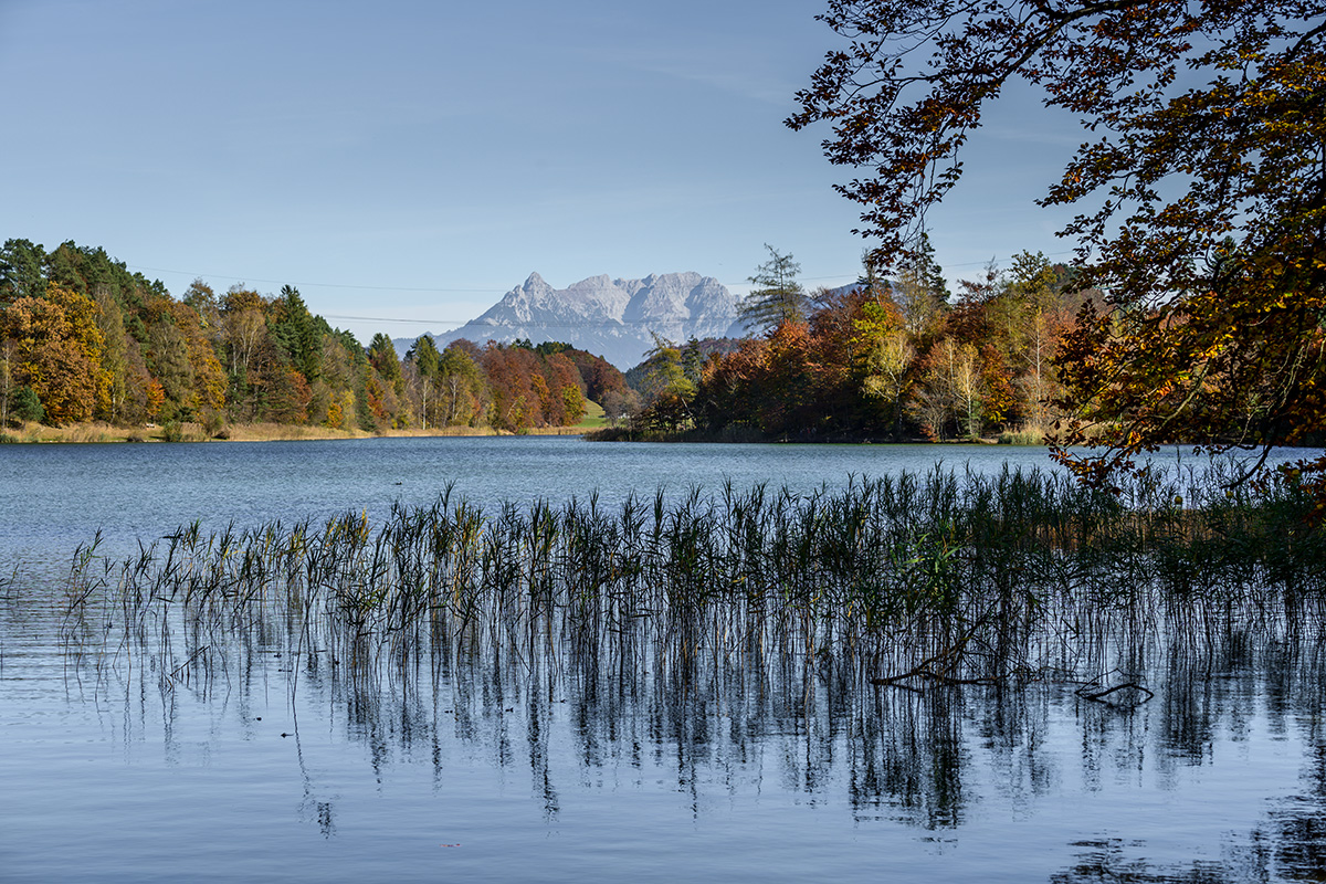 20211031_NZ7_2383NF.jpg