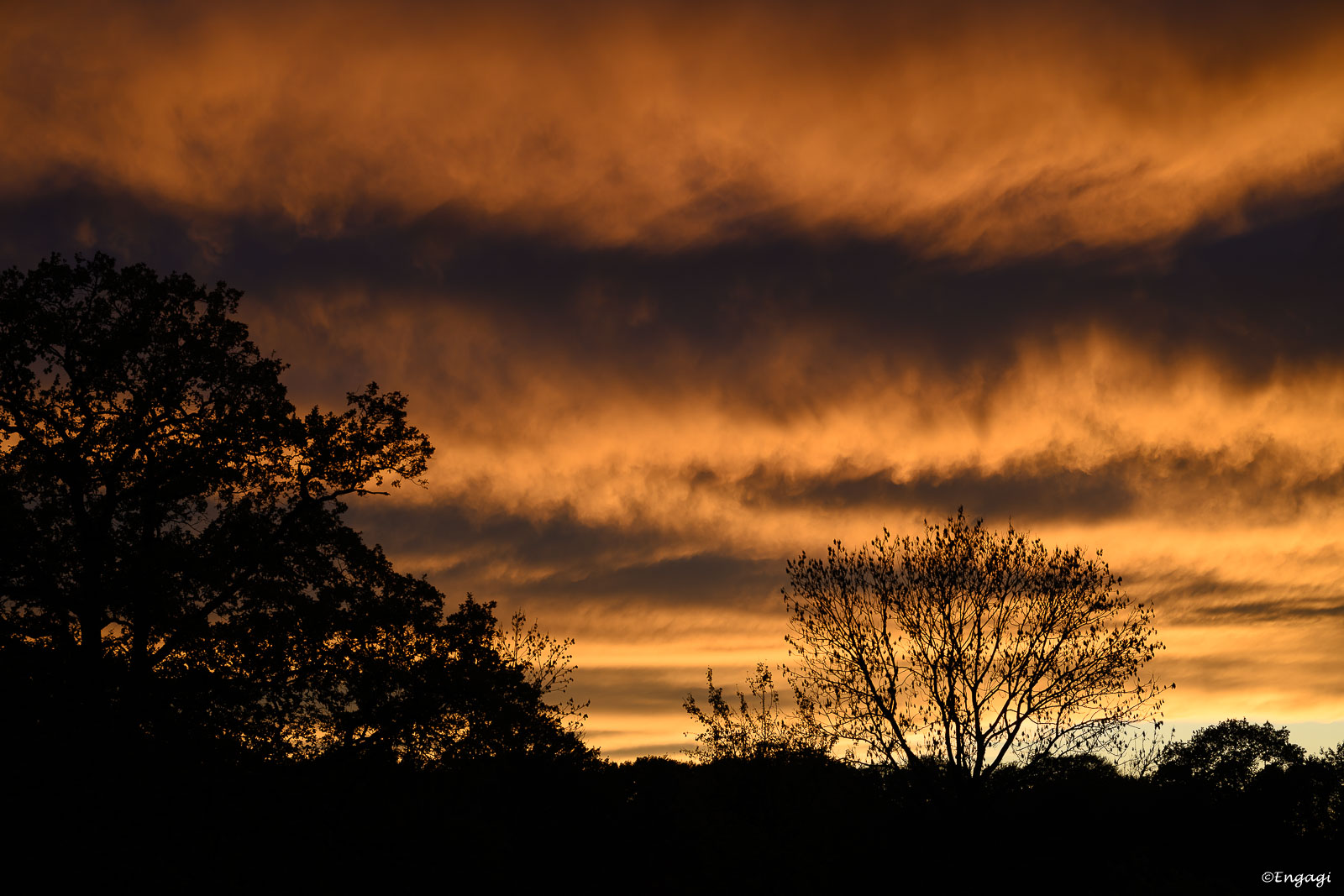 DSC_1389.jpg