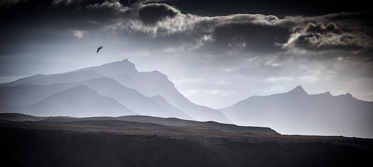 20191023_NZ6_0729wwNF.jpg