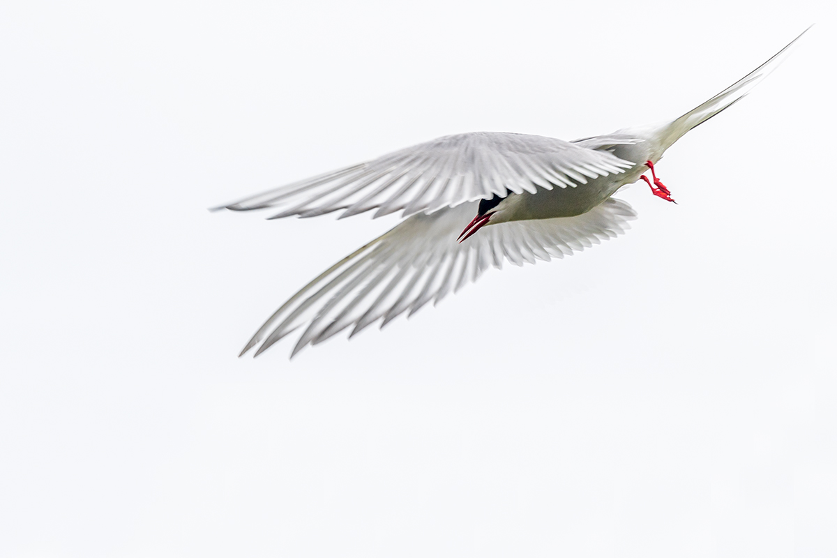 20190716_ND5_4688vNF.jpg
