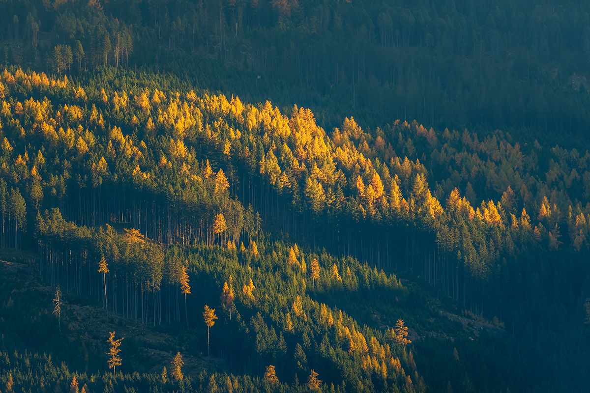20211026_D500_2348_DxONF.jpg