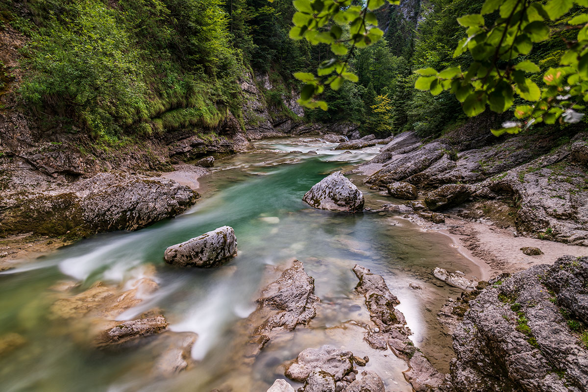 20180713_D850_1535NF.jpg