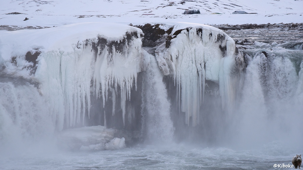 Detailansicht des mittleren Bereichs des Wasserfalls mit der Insel. Mächtige Eiszapfen verzieren den Wasserfall.