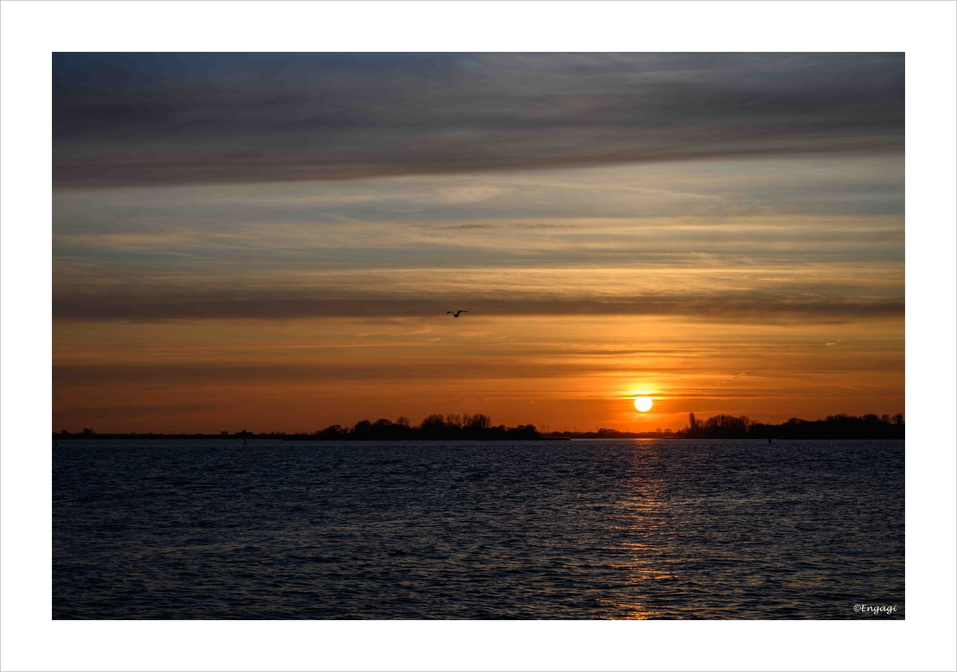 DSC_2571.jpg