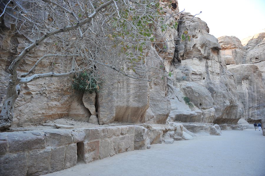 jordanien13_169.jpg