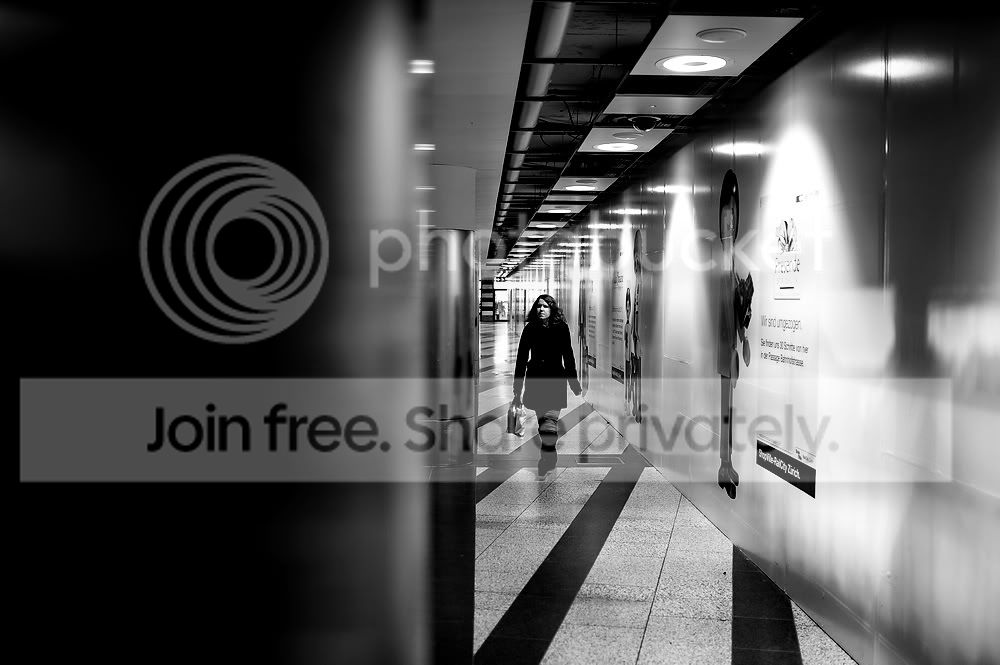 DSC_5433.jpg