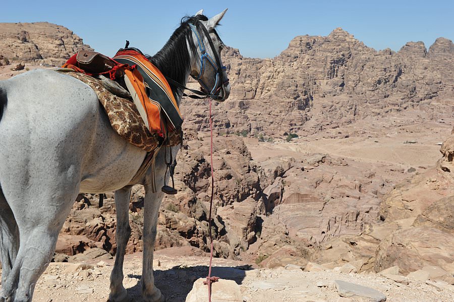 jordanien13_238.jpg