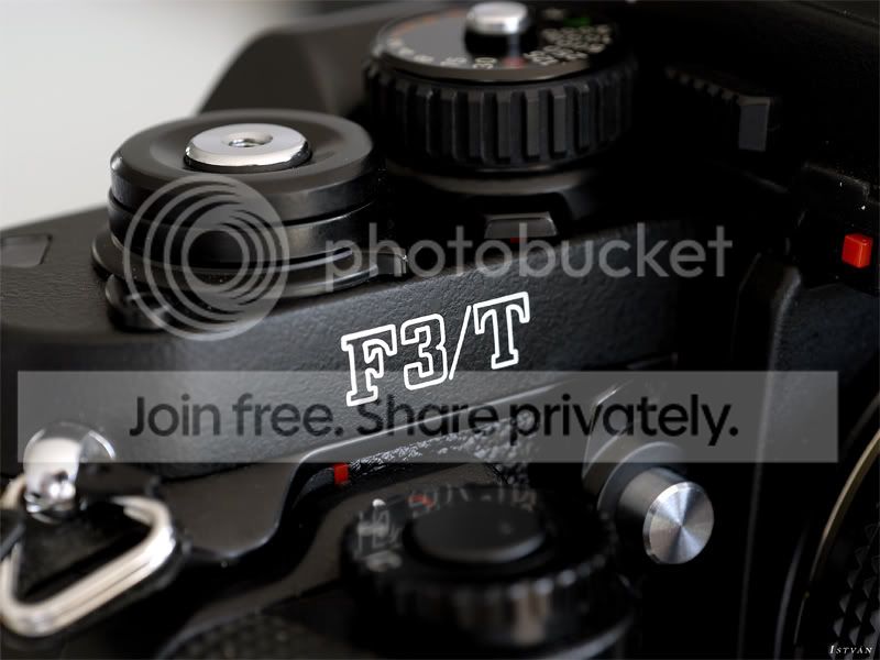 f3T.jpg