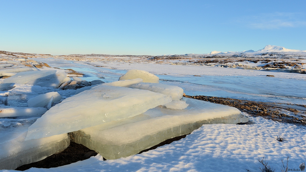 Eisschollen liegen am Rand eines vereisten Flusses.