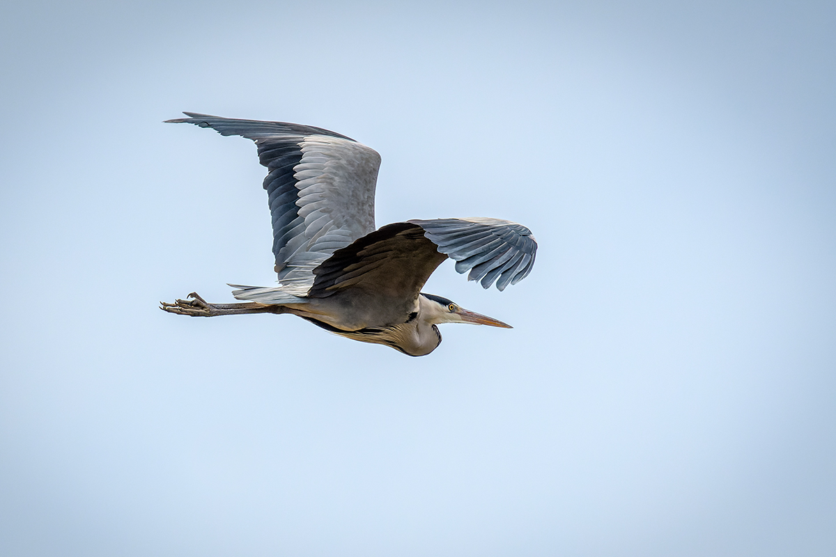 20220107_D500_0516_DxO2NF.jpg