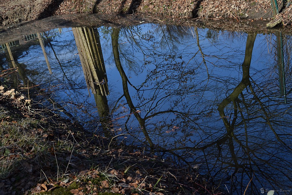 16755185431_0d69104196_b.jpg