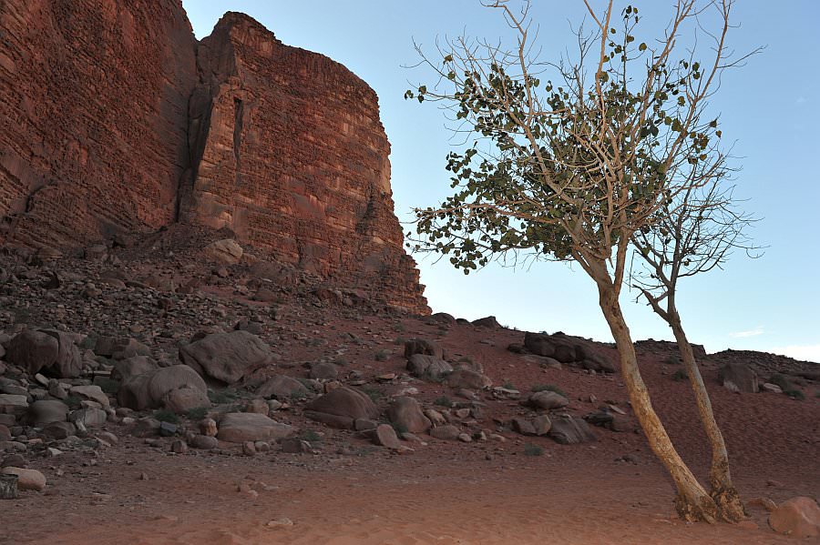jordanien13_261.jpg