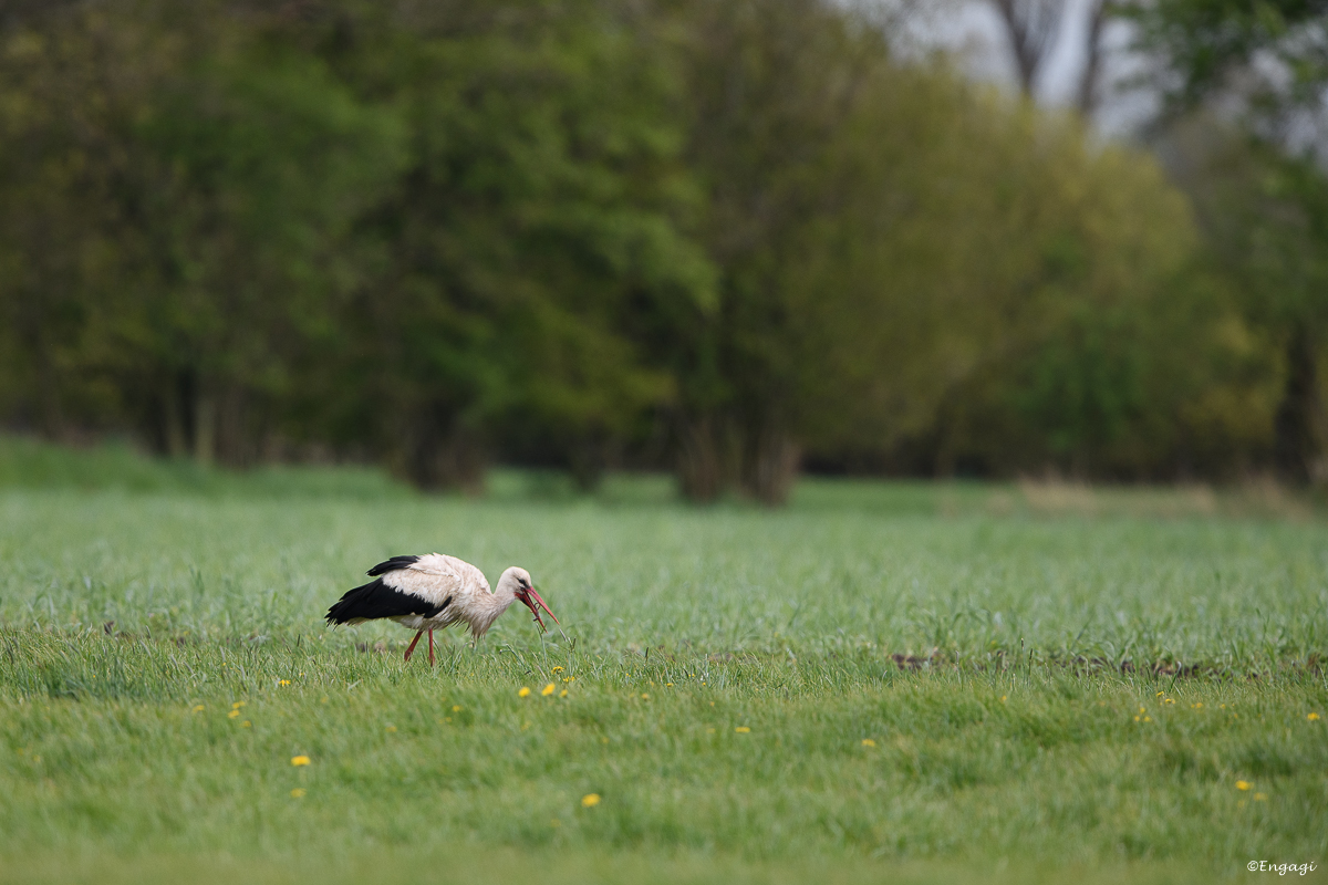 DSC_8216.jpg
