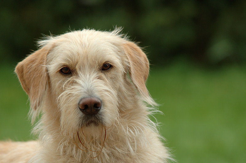 BASTI_PORTRAIT_3_800.jpg