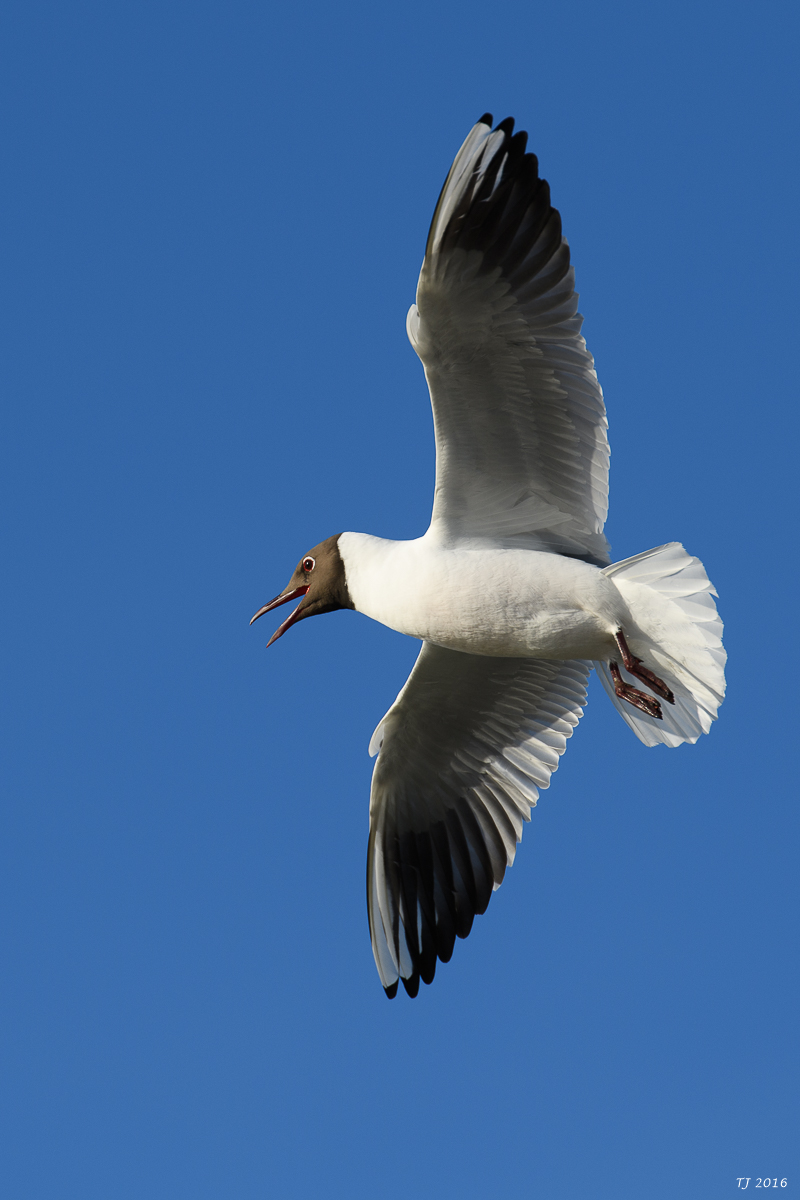 DSC_1969.jpg