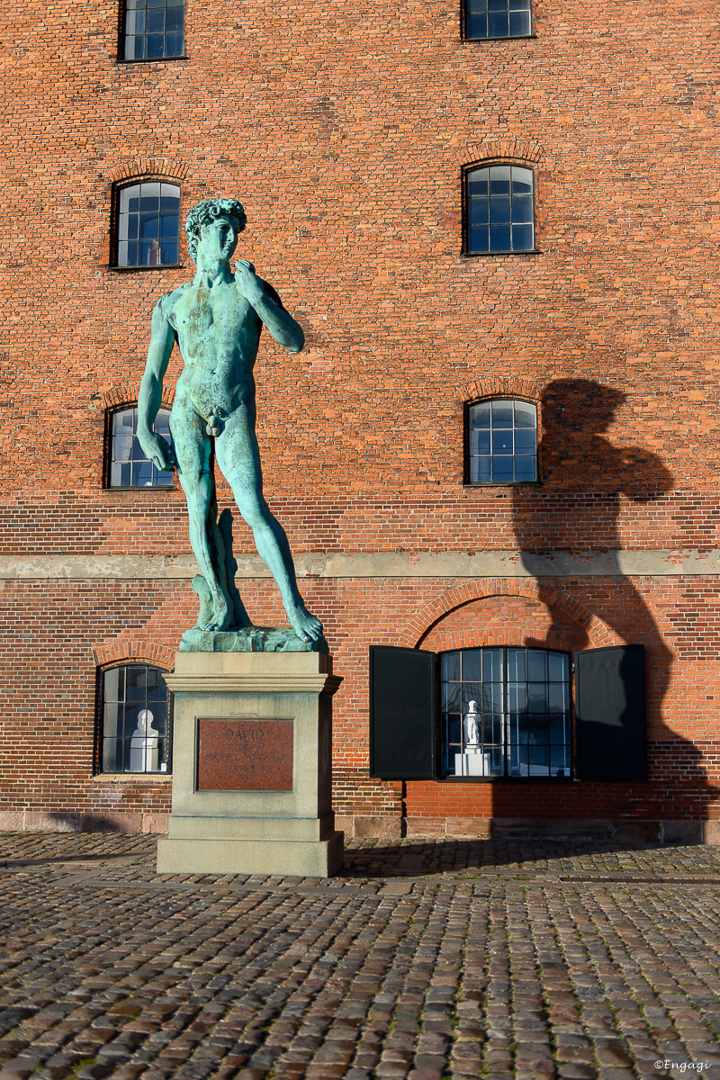 DSC_1506.jpg