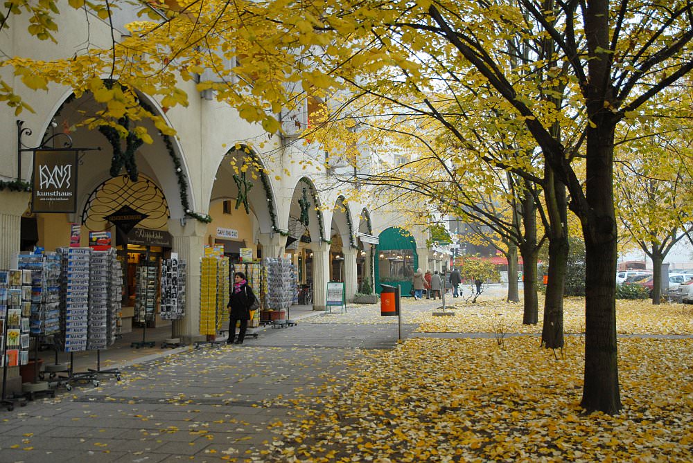 121115_113330.JPG