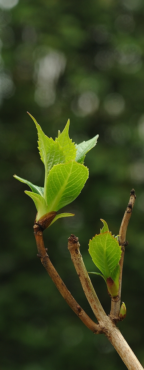 CK.R._DSC_1107-2.jpg
