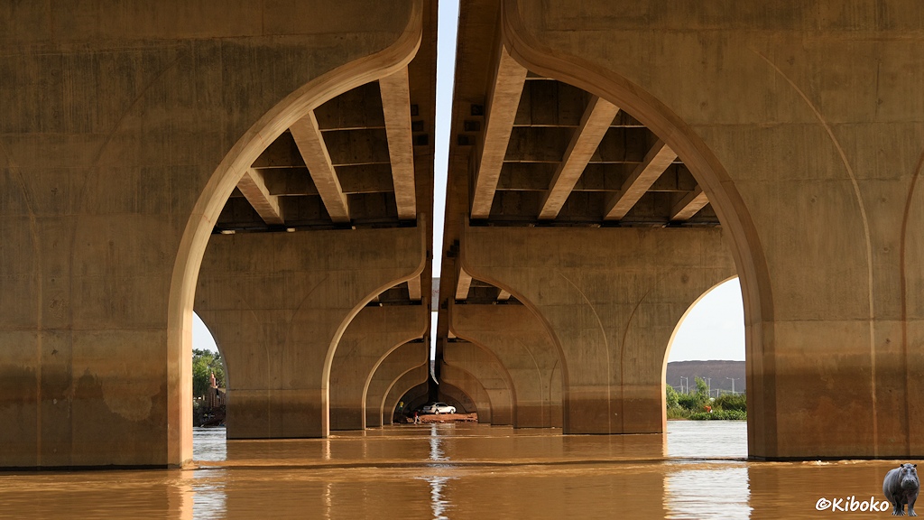 Das Bild zeigt einen Blick unter die Brücke in Längsrichtung. Die Trennung der beiden Fahrbahnen verläuft oben längs ins Bild. Auf beiden Seiten stehen Betonpfeiler. Am anderen Ufer steht ein weißer PKW unter der Brücke.