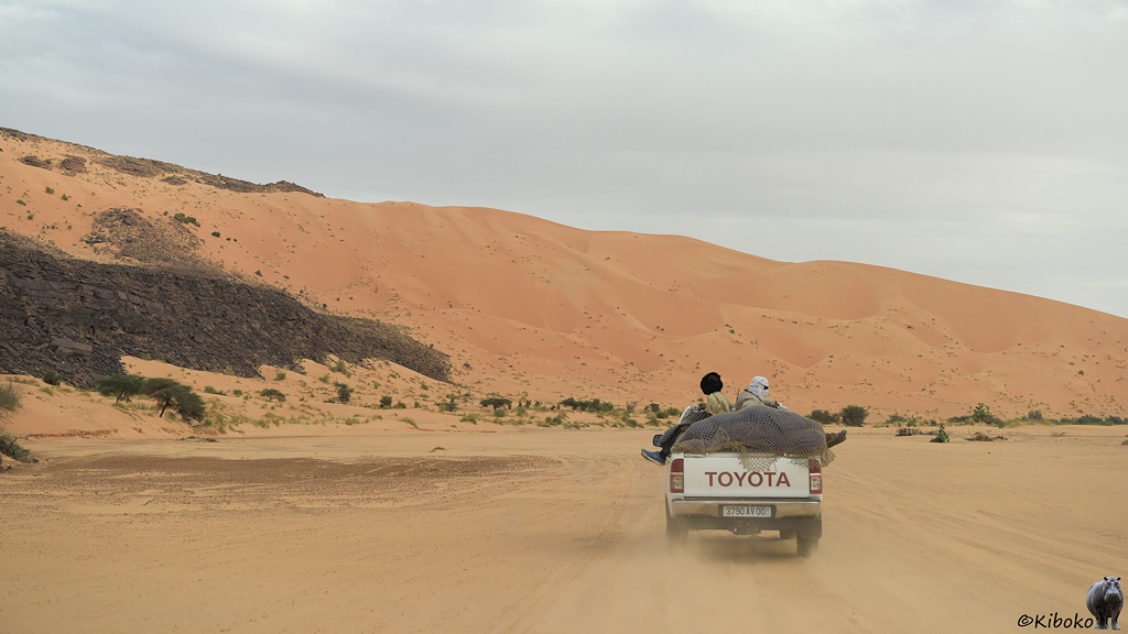 Das Bild zeigt einen vorausfahrenden Geländewagen mit zwei Passagieren auf der Ladefläche. Der Wagen fährt einen Talboden aus hellem Sand direkt auf eine hohe Düne aus lachsfarbenen Sand. Die Düne reicht am linken Bildrand bis an die Gipfel einer Felswand aus dunklem Gestein. Eine dichte Wolkendecke hängt über das Tal.