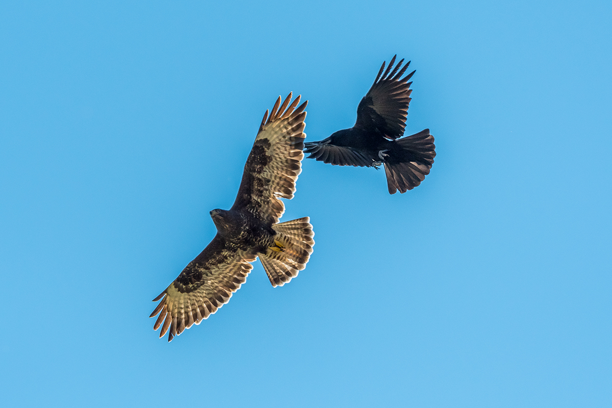 20211028_D500_2713NF.jpg