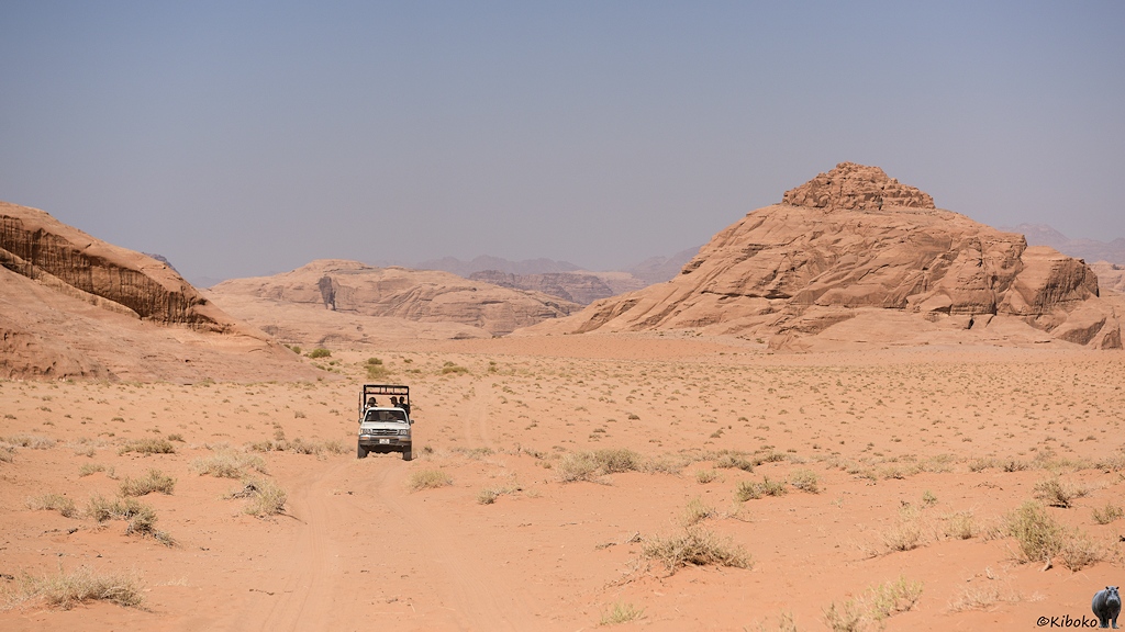 Weißer Geländewagen fährt durch die rosa-orangene Wüste mit gleichfarbigen Sandsteinformationen im Hintergrund
