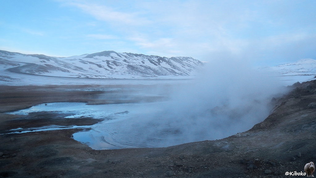 Ein Schlammtümpel liegt in einem Tal. Weißer Dampf steigt auf und verdeckt die Oberfläche des Tümpels.