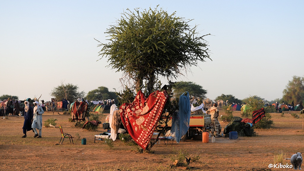 Das Bild zeigt einen kleinen Baum der unten herum mit bunten Decken umhüllt ist. Dahinter steht ein beigefarbener Geländewagen der Militärs. Im Hintergrund sind viele bunte Zelte.