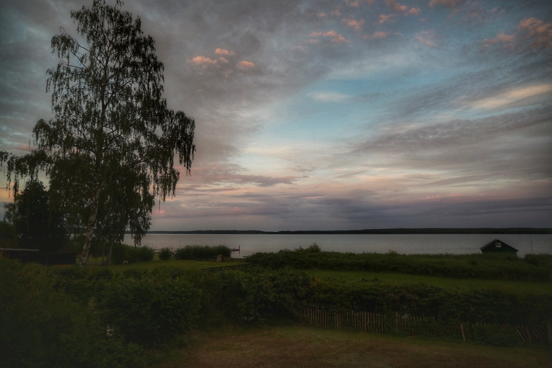IMG-0429.jpg